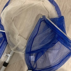 虫網の画像