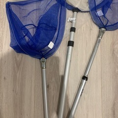 虫網の画像