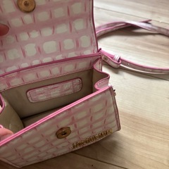 ミニバッグ譲りますの画像