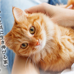 【高報酬】関西エリア限定｜防災エネルギー設備の無料シミュレーションアポイント営業の画像