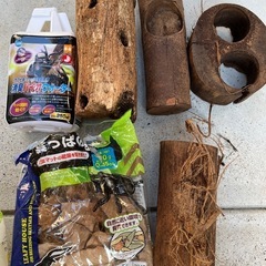 カブトムシ飼育セット　虫カゴ、プラスチック飼育ケースの画像