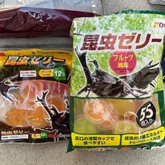 カブトムシ飼育セット　虫カゴ、プラスチック飼育ケースの画像