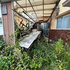 お庭の剪定
