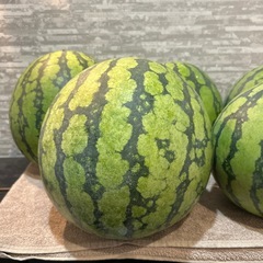 大玉スイカ⑩ 羅皇 1玉 大玉サイズ　訳ありの画像