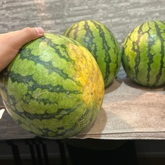 大玉スイカ⑩ 羅皇 1玉 大玉サイズ　訳ありの画像