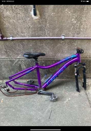 マウンテンバイクフレームとサスのみ