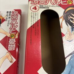 中古品　漫画　涼宮ハルヒの憂鬱　画：ツガノガク　全２０巻（限定版含む）の画像