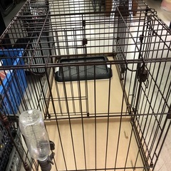 🐩犬用ペットゲージ🐩の画像