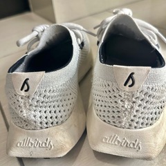 【値下げ】Allbirds スニーカー レディース ツリーダッシャー2 ホワイト 25cmの画像