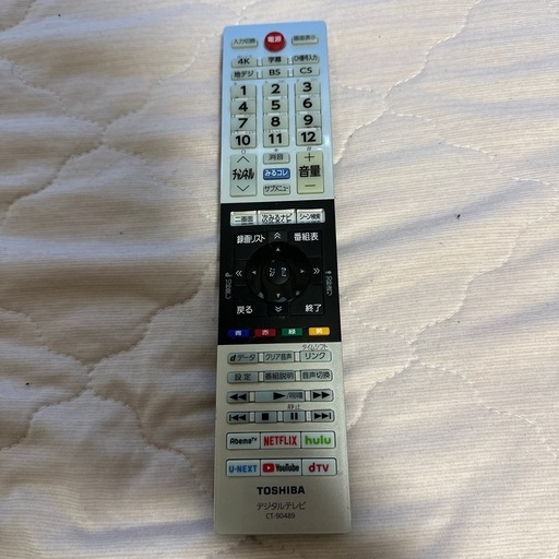 TOSHIBA REGZA  
