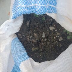 採石　土混じり30袋位の画像