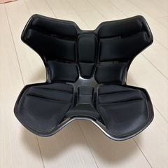 Style  アスリート2  姿勢サポートシートの画像