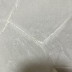 うさぎ100％のぬいぐるみ🐰の画像