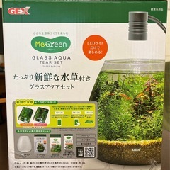 【あげます】GEX グラスアクアセットの画像