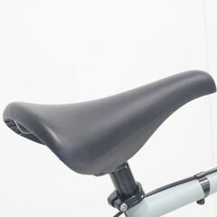 FUJI 「フジ」 FEATHER 2024年モデル ピストバイクの画像