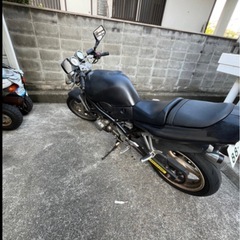 suzuki　バンディット250の画像
