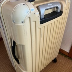 イオン　キャリーケースの画像