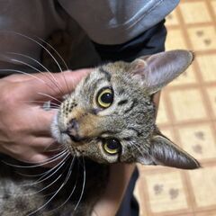 お願いします^. .^ ੭ − 茨城県