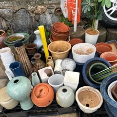 鉢植え　壺　無料　早い者勝ちの画像
