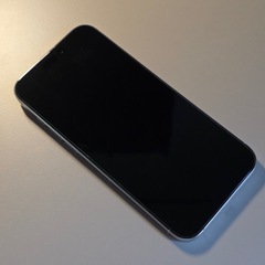 iPhone 16 Pro Max ホワイトチタニウム　256GB SIMフリーの画像