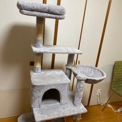 【引き取り限定】キャットタワーの画像