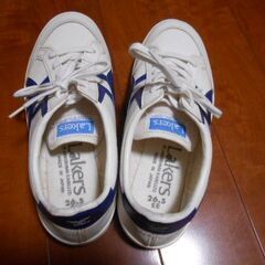 未使用　スニーカー　２５．５～２６．０　男女　上履きにもの画像