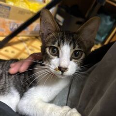 お願いします(⋆ᴗ͈ˬᴗ͈)”