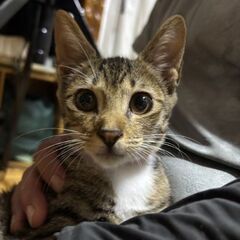 お願いします(⋆ᴗ͈ˬᴗ͈)”
