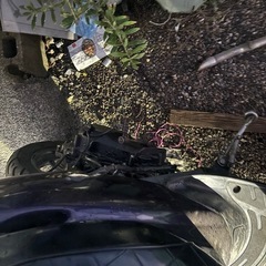 期限8月22までDIOの画像