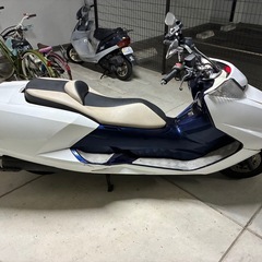 マグザム250の画像
