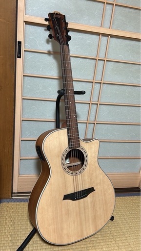 エレアコギター