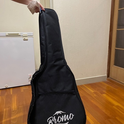 エレアコギター