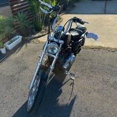 ハーレー　XL1200V　の画像
