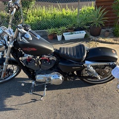 ハーレー　XL1200V　の画像