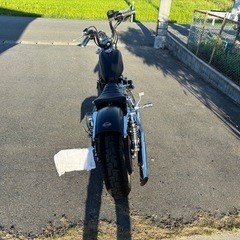 ハーレー　XL1200V　の画像