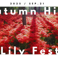 秋の曼珠沙華祭りとライトハイキング