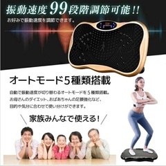 ブルブルマシン【5モード99段階振動調節】の画像