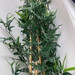 観葉植物　光触媒　フェイクグリーンの画像