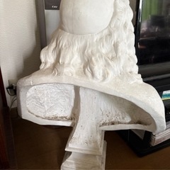 石膏　モリエールの画像