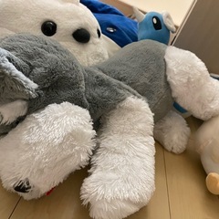 ぬいぐるみの画像