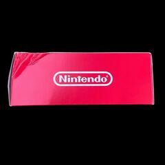 SG00001 訳アリ品 Nintendo 任天堂 ニンテンドウ スイッチライト [0000000000125]の画像