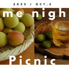 秋の夜長、梅酒と梅シロップピクニック🍑