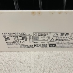2021年製白くまくんの画像