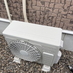 2021年製白くまくんの画像