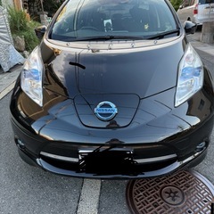日産リーフ30x 9セグ残り