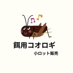 イエコ（Mサイズ）　少数販売の画像