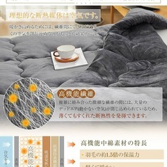 【新品未使用】掛け布団 シングル 冬用 暖かい 5層構造 フランネル あったか 吸湿発熱わたの画像