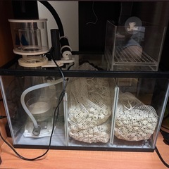 90cmオーバーフロー水槽　海水魚飼育フルセットの画像