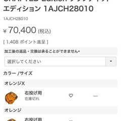 ミズノプロ　硬式キャッチャーミット　中古
の画像