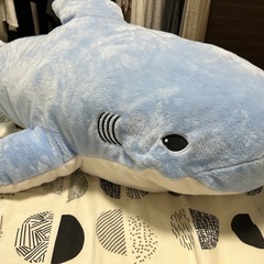 サメぬいぐるみの画像